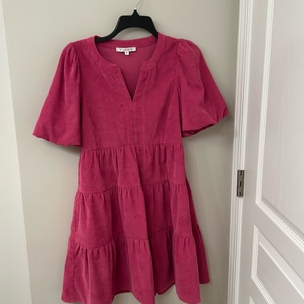 Joy Joy Pink Corduroy Dress